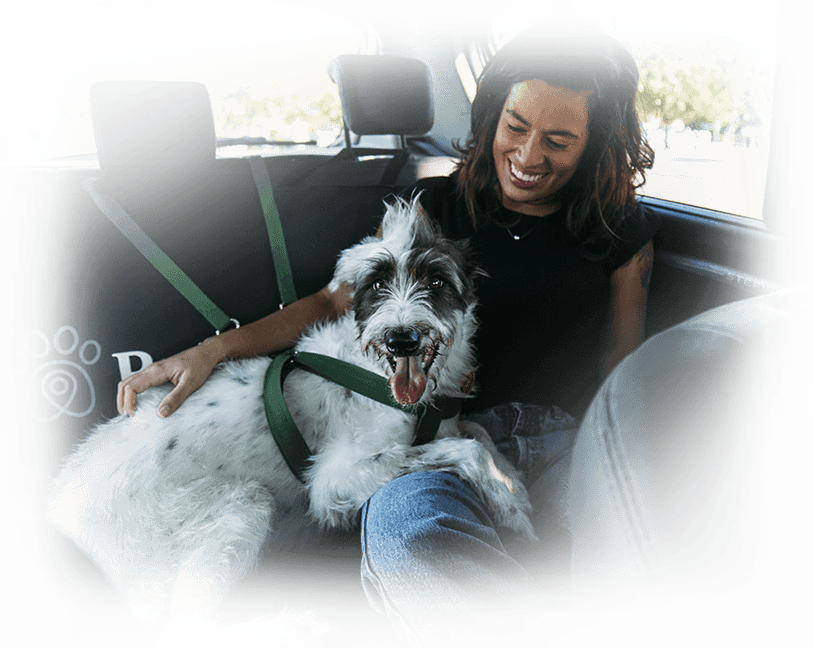 Background PetDriver Background PetDriver