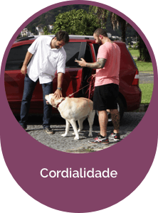 Cordialidade PetDriver Cordialidade PetDriver