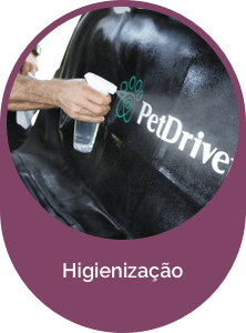 Higienização PetDriver