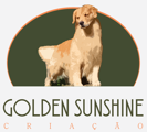 Golden Sunshine Criação