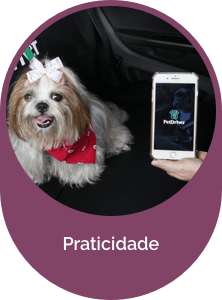 Prático e Eficiente PetDriver Prático e Eficiente PetDriver