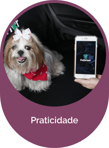 Prático e Eficiente PetDriver